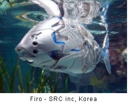 Firo